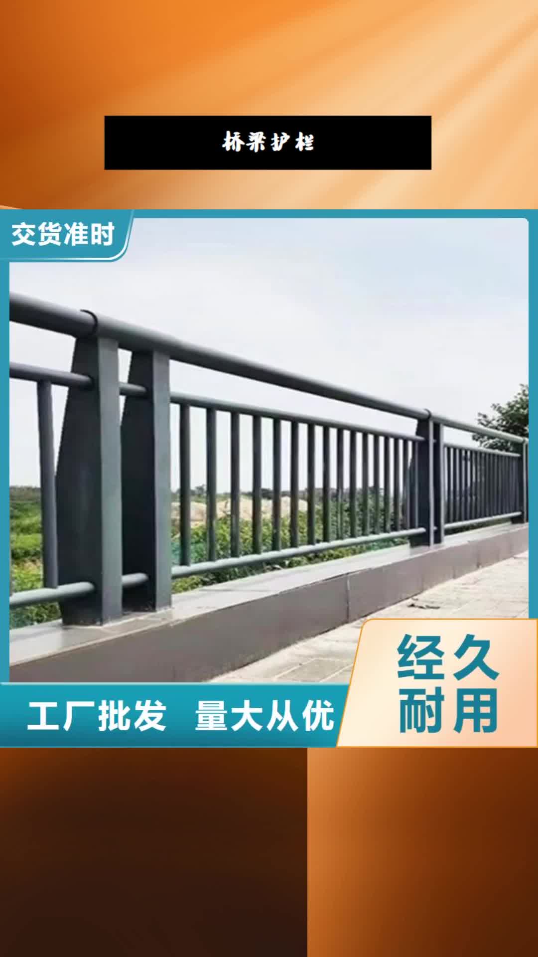 【忻州 桥梁护栏碳钢防撞护栏厂家技术完善】