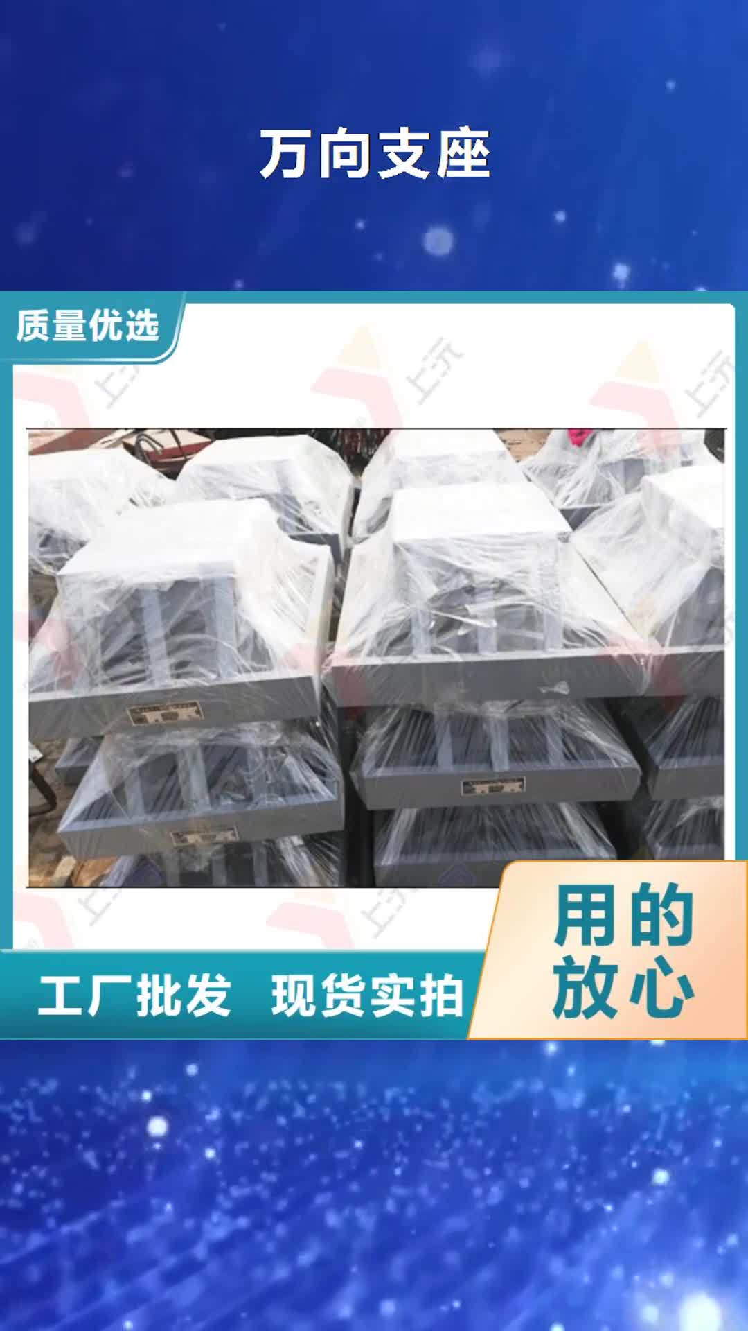 海南【万向支座】,固定支座现货实拍