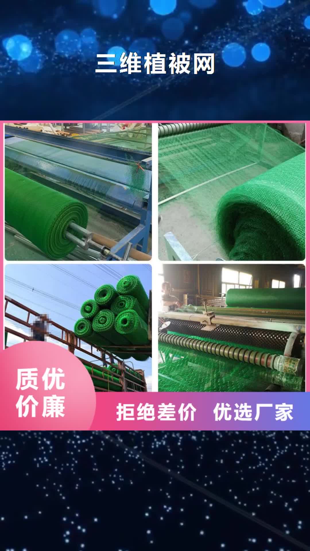 普洱【三维植被网】_膨润土防水毯专注生产制造多年