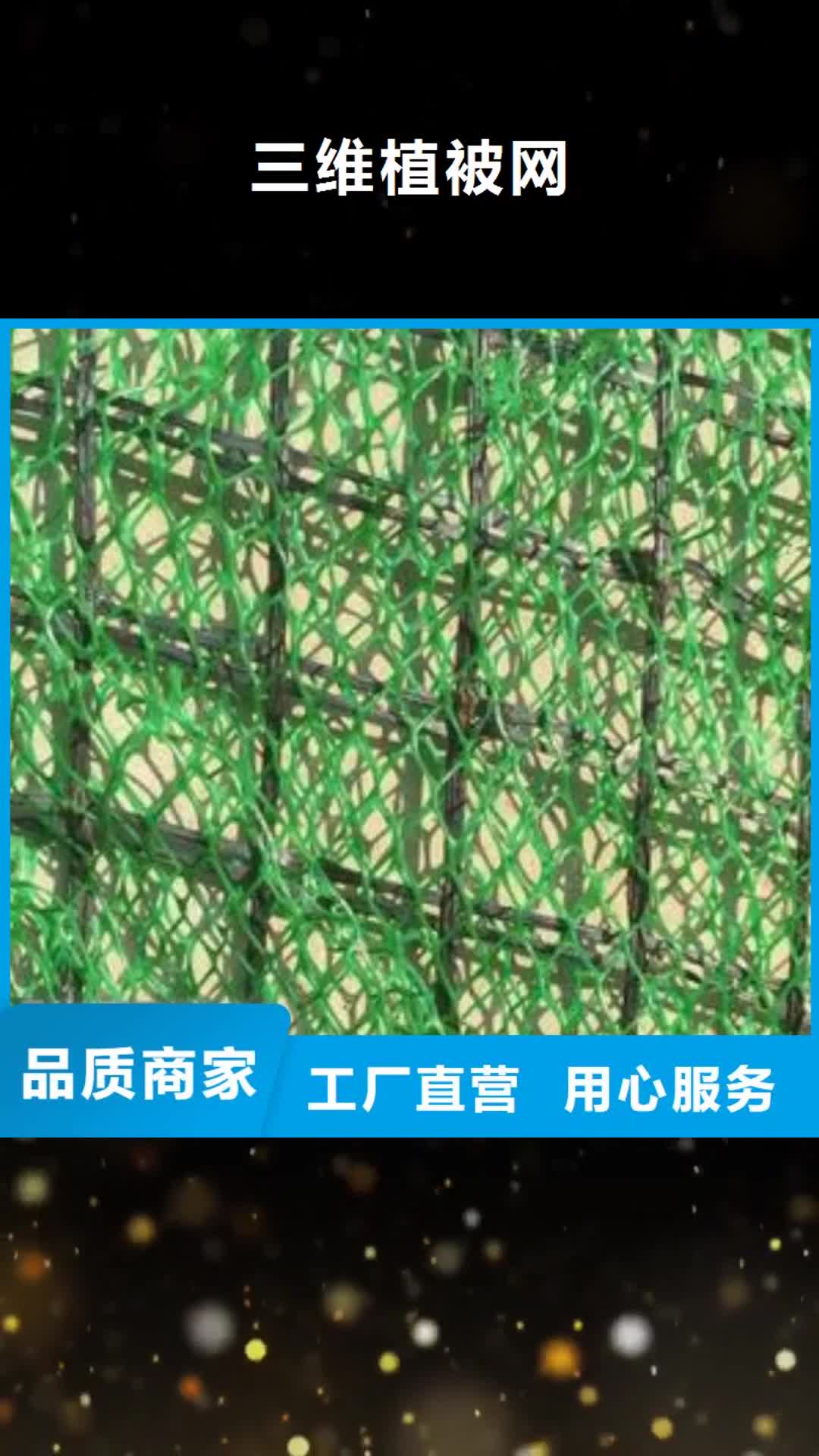 黄南 三维植被网_【塑料盲沟】追求细节品质