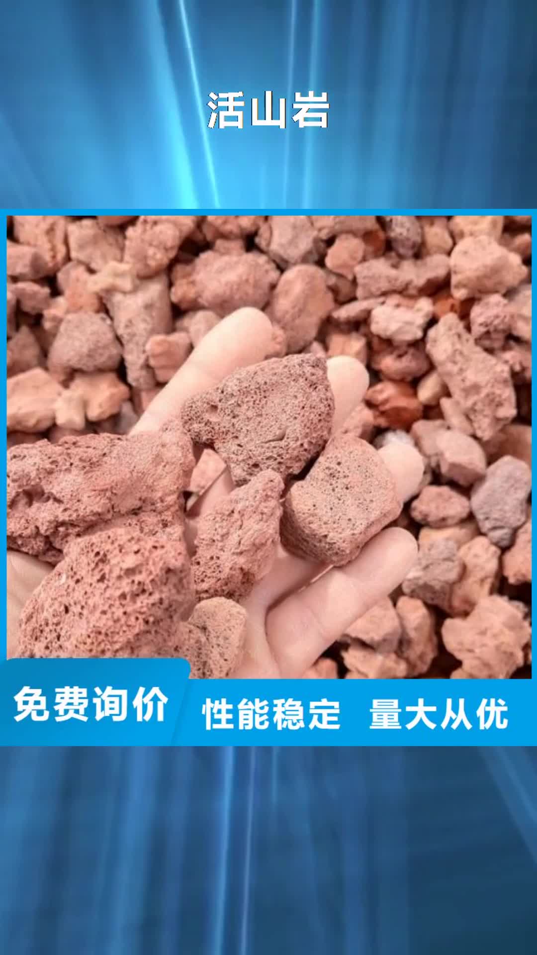 焦作 活山岩 【聚合氯化铝】厂家型号齐全