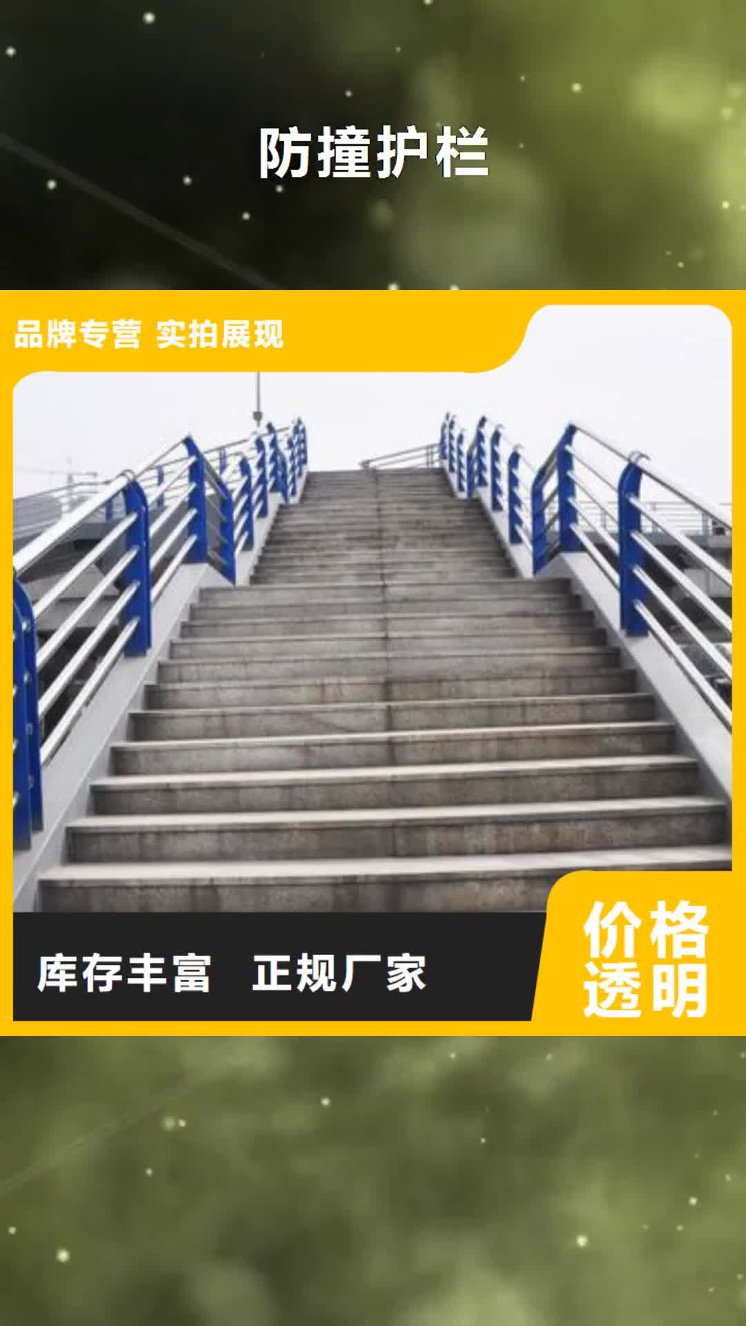 【郴州 防撞护栏_天桥护栏品质之选】
