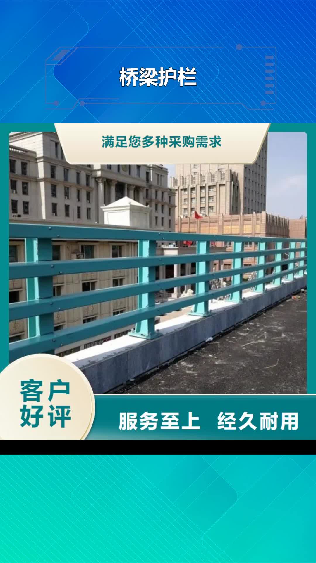 安庆【桥梁护栏】-河道栏杆匠心打造